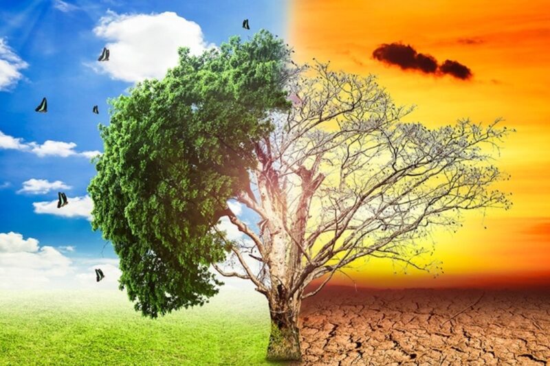 Climate Change Policy Acceleration: International Commitments and Local Implementation Strategies