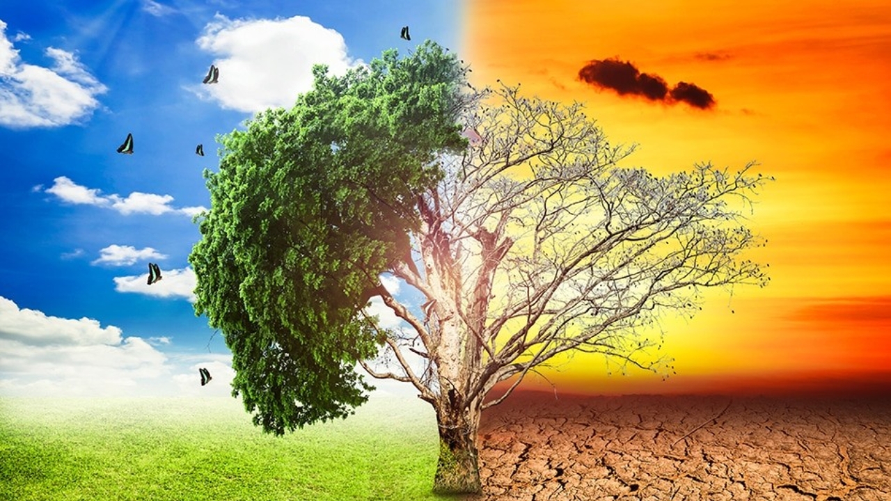 Climate Change Policy Acceleration: International Commitments and Local Implementation Strategies