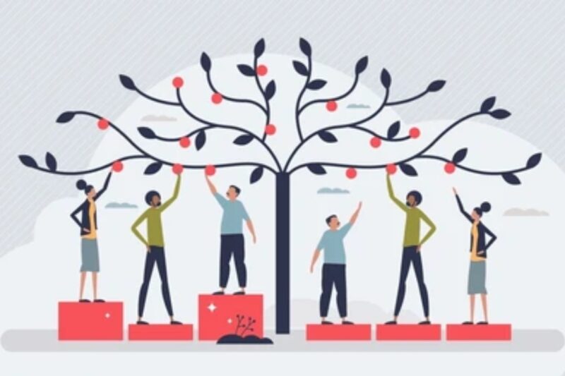 Social Equity & Inclusion Policies: Building Fairness in Modern Governance Frameworks