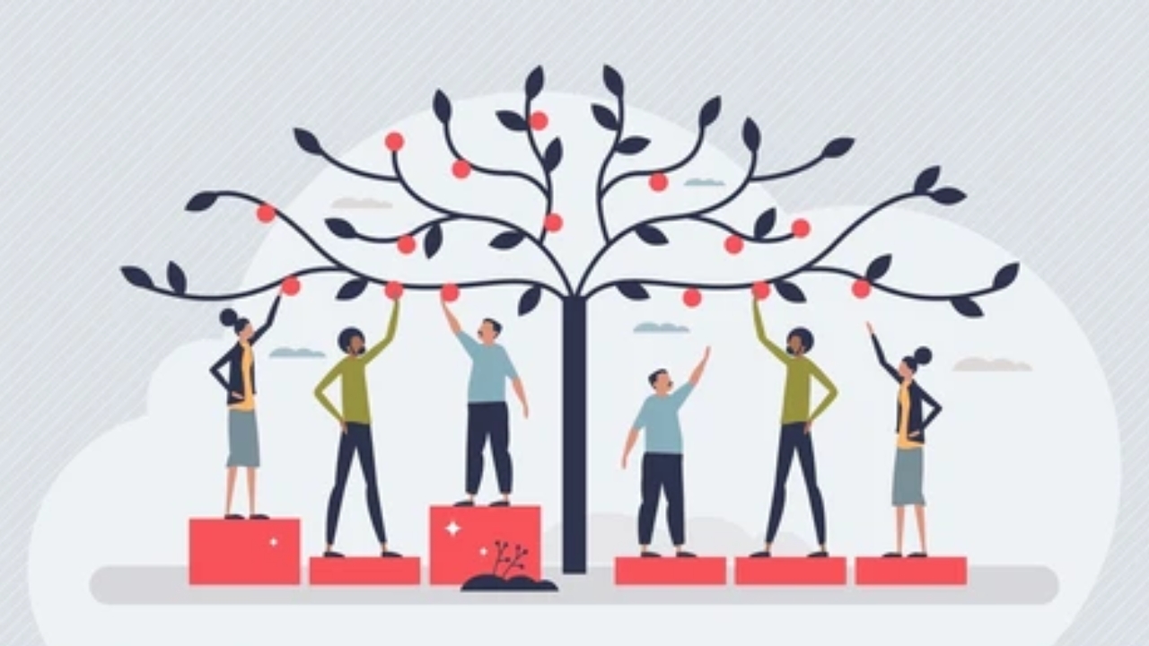 Social Equity & Inclusion Policies: Building Fairness in Modern Governance Frameworks